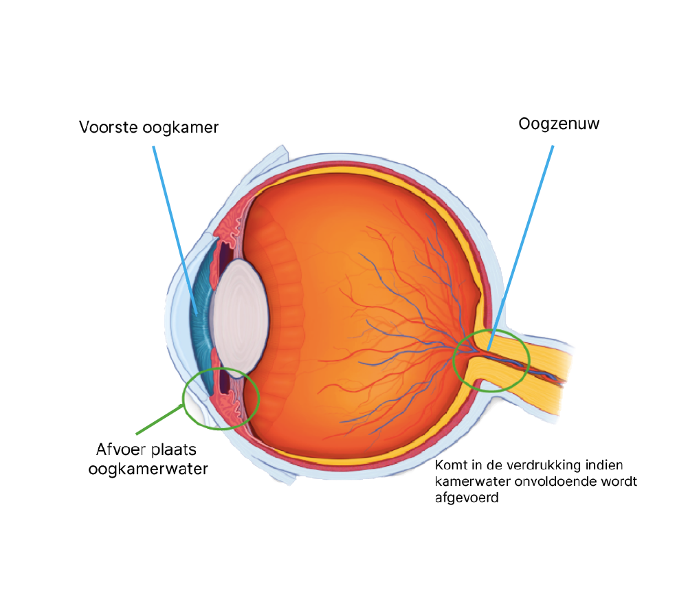 Optiek - Optometrist in Valkenburg. Nauwkeurige oogmeting, nieuwe bril of lenzen of paramedische oogzorg? Opticien Valkenburg? Vanderhallen, als ervaring telt!